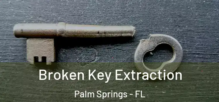  Broken Key Extraction Palm Springs - FL