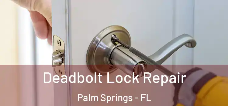 Deadbolt Lock Repair Palm Springs - FL