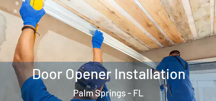 Door Opener Installation Palm Springs - FL