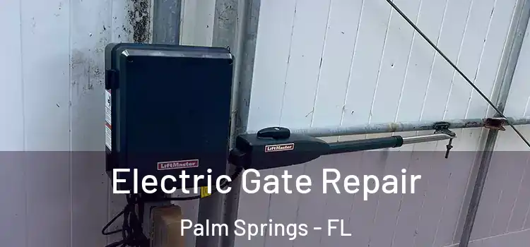  Electric Gate Repair Palm Springs - FL