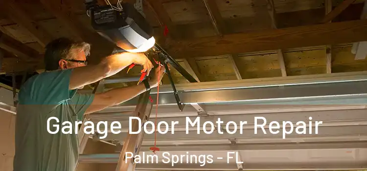  Garage Door Motor Repair Palm Springs - FL