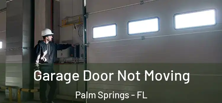  Garage Door Not Moving Palm Springs - FL