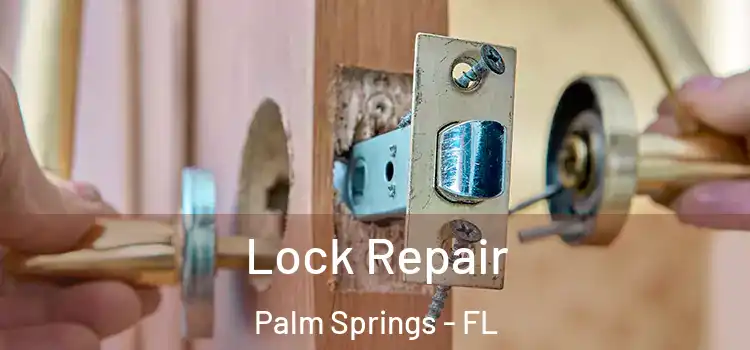 Lock Repair Palm Springs - FL