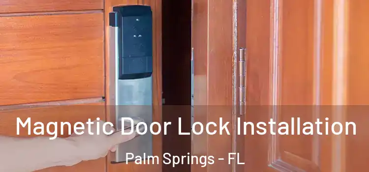  Magnetic Door Lock Installation Palm Springs - FL