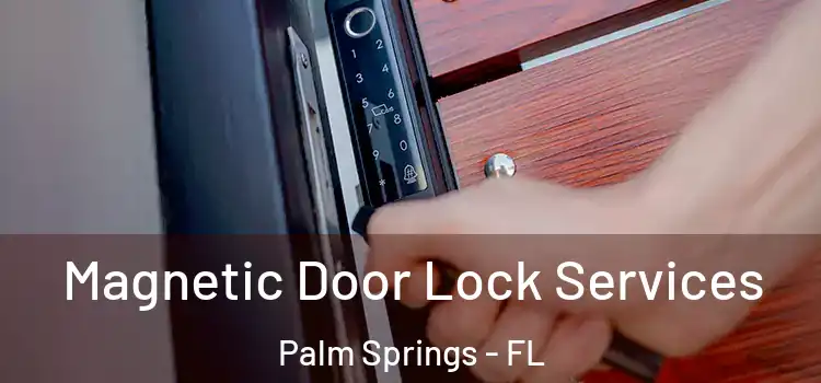 Magnetic Door Lock Services Palm Springs - FL