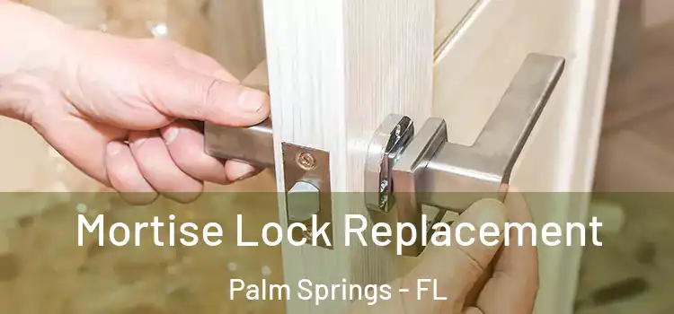 Mortise Lock Replacement Palm Springs - FL